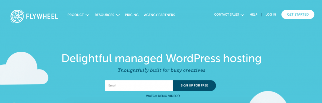 Flywheel managed WordPress hosting. 