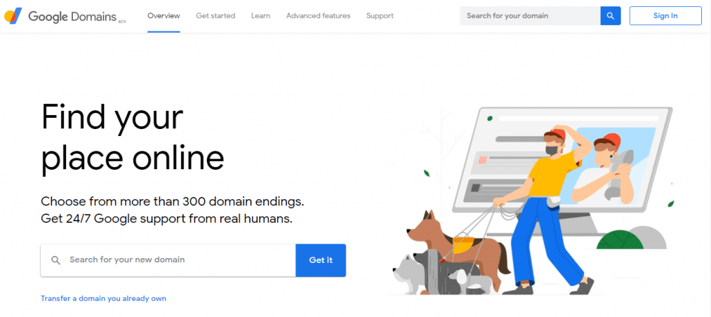 The Google domain selling site.