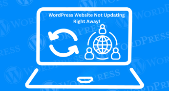 How to Fix WordPress Website Not Updating Right Away