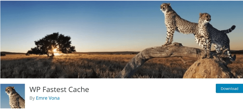 Browser Caching In WordPress